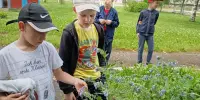 Воспитатель-оздоровительный лагерь "Солнечный город"