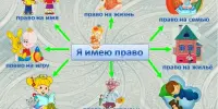 Классный час ШАГ "Я и Закон" "Мои права и обязанности"
